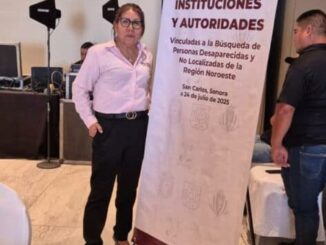 Participa titular de CEAVE en reunión convocada por la Comisión Nacional de Búsqueda