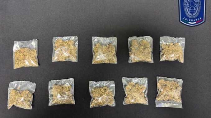 Detiene AEI a individuo que poseía 10 envoltorios de marihuana