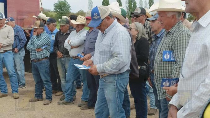 Capacita Estado a productores para la detección del Gusano Barrenador del Ganado