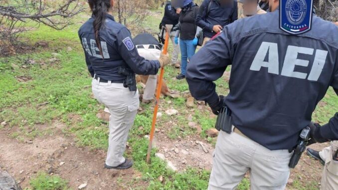 Halla Fiscalía Noroeste fragmentos óseos en ‘El Willy’, municipio de Casas Grandes