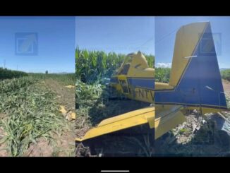 Avioneta se desploma durante labores de fumigación en Bachíniva