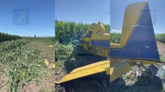 Avioneta se desploma durante labores de fumigación en Bachíniva
