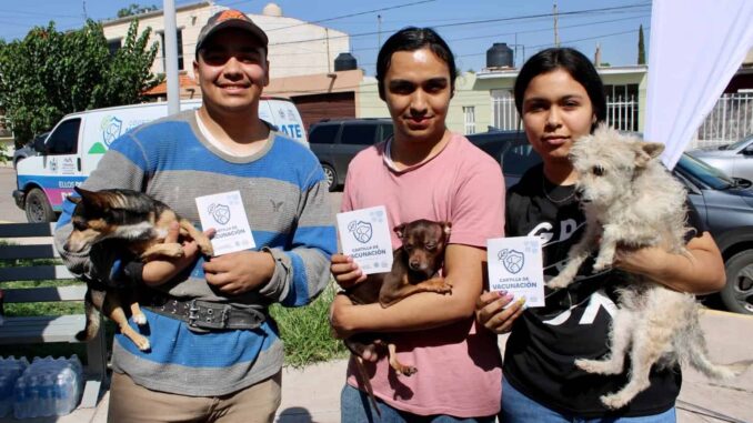 Benefició Municipio a más de 100 perros y gatos con servicios gratuitos en colonia Los Pinos