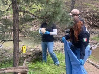 Realizan AEI y CLB operativo de búsqueda de desaparición en Bocoyna