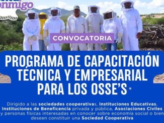 Lanza SIDE convocatoria de capacitación para fortalecer la Economía Social