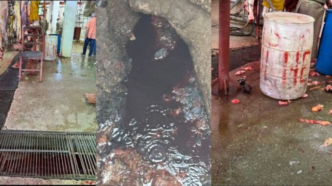 Señalan riesgo sanitario por desechos sin control en rastro municipal de Juárez; autoridades ausentes