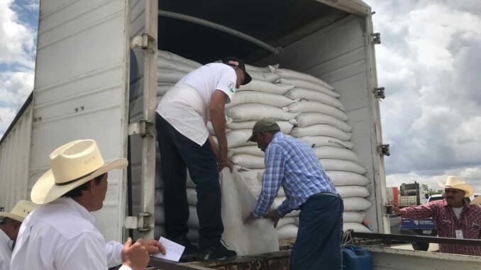 Entrega Gobierno del Estado 14 toneladas de semilla de avena a productores de la zona sur