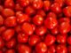Estiman 47 mil empleos en riesgo en EE.UU. por arancel al jitomate mexicano