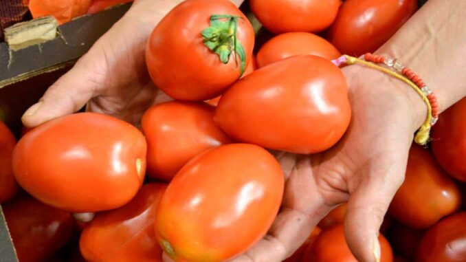 Ebrard confirma pago de arancel a EE.UU. por jitomate