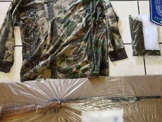 Asegura AEI arma de fuego y droga en Balleza