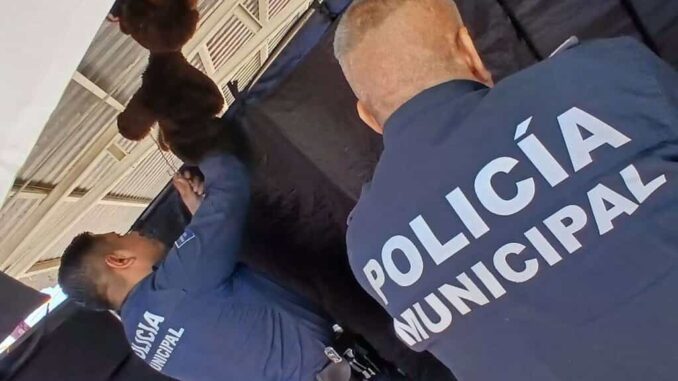 Fomentan valores cívicos con Teatrino en preescolares