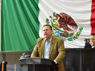 Busca Congreso fortalecer el uso correcto de las reglas gramaticales y ortográficas del idioma español