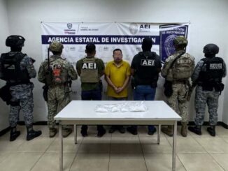 Durante cateo, detienen a hombre en posesión de casi medio kilo de cocaína