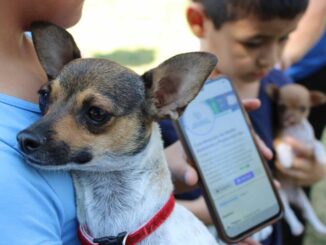 Brindará Gobierno Municipal servicios gratuitos para mascotas en Punta Oriente