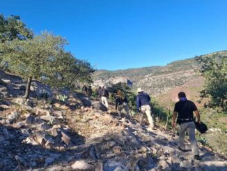 Ininterrumpida búsqueda de encuestador del INEGI en Urique