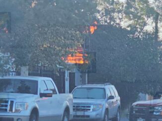 Incendio consume vivienda y deja una mascota sin vida en la Colonia Dale