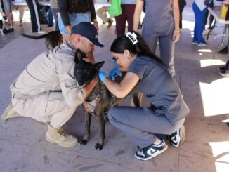 Realiza Municipio más de mil servicios en jornada de salud y atención para animales en Punta Oriente