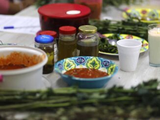 Indígenas recomiendan el uso de la medicina tradicional para prevenir enfermedades