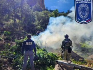 Realizan nueva quema de plantíos de droga en Cañón La Sierrita