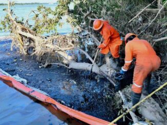 Así se ve el derrame de hidrocarburo en el río Tuxpan, Veracruz; suman 345 mil litros recuperados