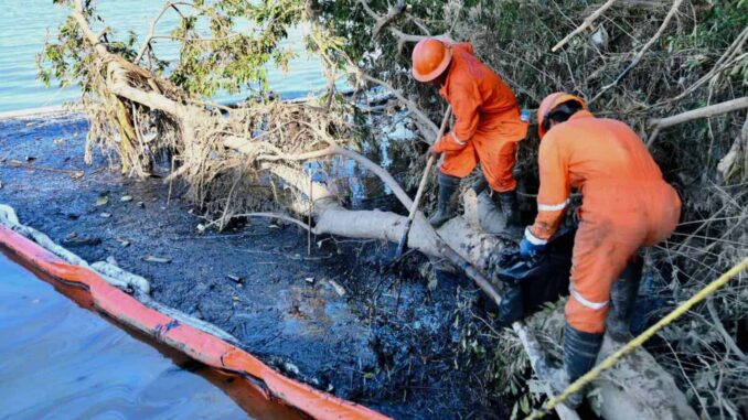 Así se ve el derrame de hidrocarburo en el río Tuxpan, Veracruz; suman 345 mil litros recuperados