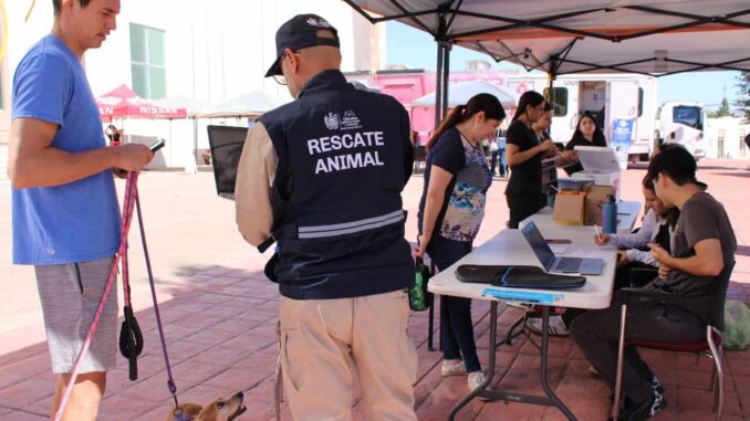 Brindó Municipio más de 300 servicios gratuitos para mascotas en Wellness Fest 2025