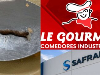 Denuncian gusanos, moscas y cabellos en alimentos e intoxicaciones masivas en Safran planta 4 