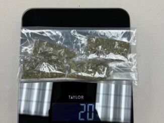 Detiene AEI a masculino en posesión de marihuana y metanfetaminas en la colonia Jardines de Roma