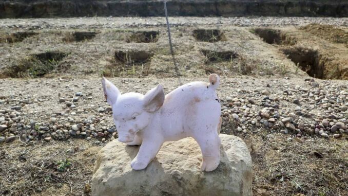 Se visitan más que los de personas