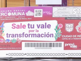 Vales de Mercomuna 2025 son susceptibles de falsificación