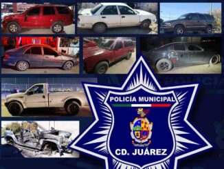 Recuperan 11 vehículos robados en operativo especial