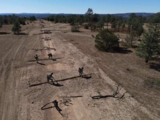 Destruyen pista de aterrizaje clandestina en Guachochi