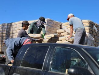 Entrega Estado 70 toneladas de cemento a familias del municipio de Madera