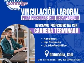 Gestiona Estado vacantes laborales y prácticas profesionales para sectores vulnerables