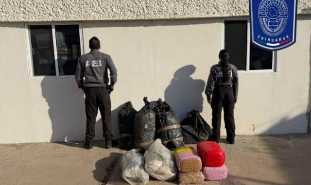 Asegura AEI más de 70 kilogramos de mariguana en Hidalgo del Parral