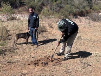 Continúa FGE búsqueda de personas en rancho El Aranjuez