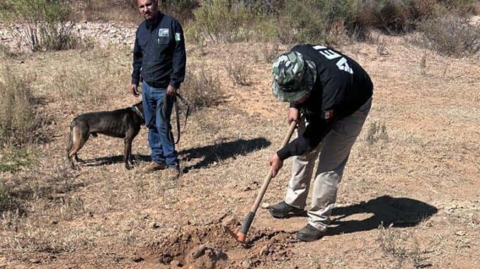 Continúa FGE búsqueda de personas en rancho El Aranjuez