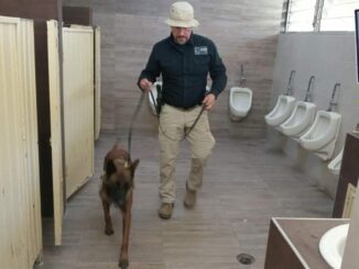 Interviene GOECHI para propiciar entornos escolares sanos y seguros en la Secundaria Federal 2