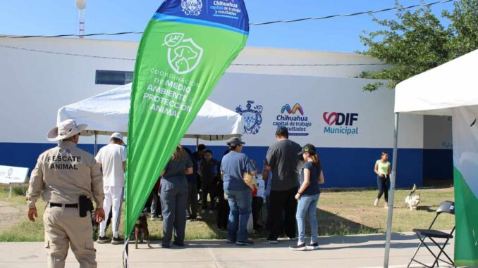 Este jueves, servicios gratuitos para perros y gatos en colonia Insurgentes