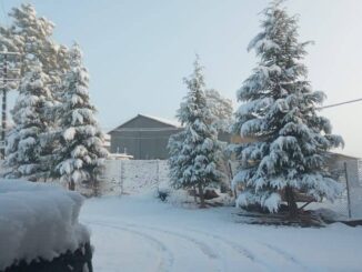 Prevén ingreso de primera tormenta invernal de la temporada este fin de semana