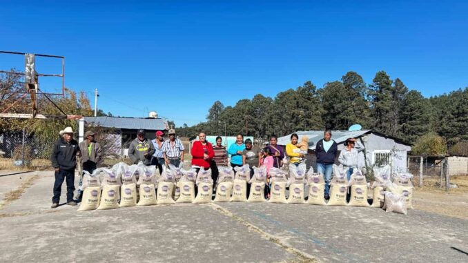 Distribuye Gobierno del Estado 7.2 toneladas de apoyo alimentario en Balleza