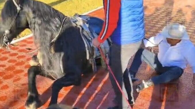 Derriba caballo al «Caballo» Lozoya en la Plaza Hidalgo