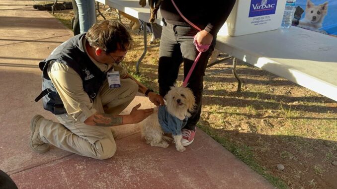 Brindará Municipio servicios gratuitos para perros y gatos en Minerales