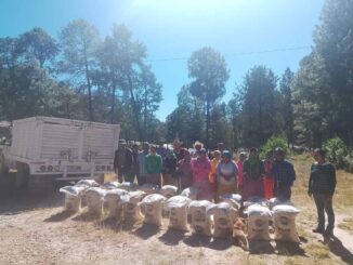 Distribuye Gobierno del Estado 5.6 toneladas de maíz y frijol en Guazapares