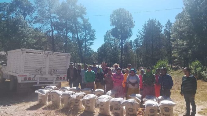 Distribuye Gobierno del Estado 5.6 toneladas de maíz y frijol en Guazapares