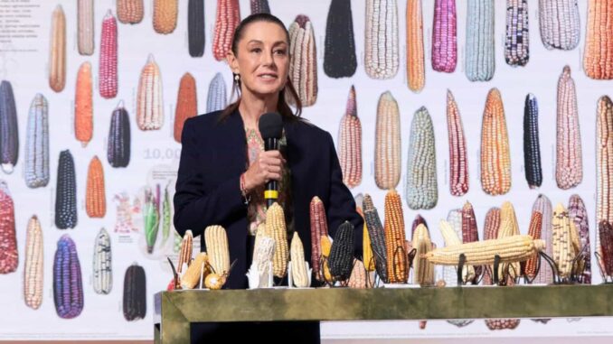 México evita recesión con Sheinbaum, pero se frena ante presiones de EE.UU. y Pemex