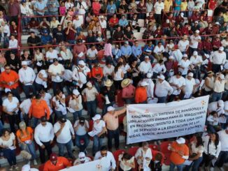 Sección 8 del SNTE respalda el proyecto de nación de Claudia Sheinbaum