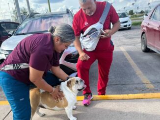 Policías Municipales ayudan a reunir a una perrita de apoyo emocional con su familia