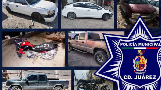 Recuperan siete vehículos robados en operativo de la SSPM