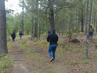 Localiza FGE restos óseos durante rastreo en Balleza